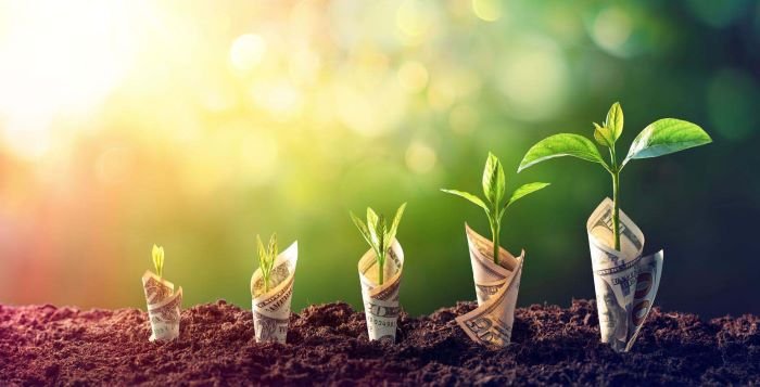 Why Small Business Owners Should Pay Themselves First