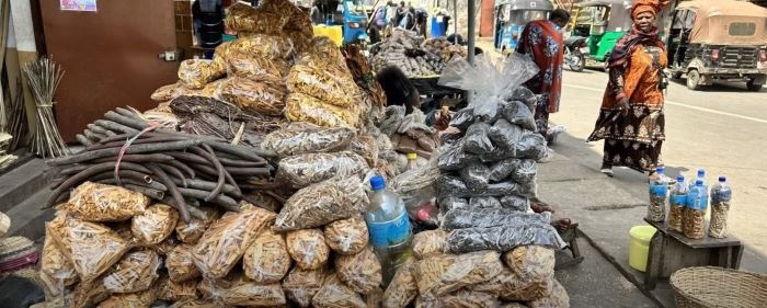 Discover the Culinary Delights: Best Street Food to Try in Freetown